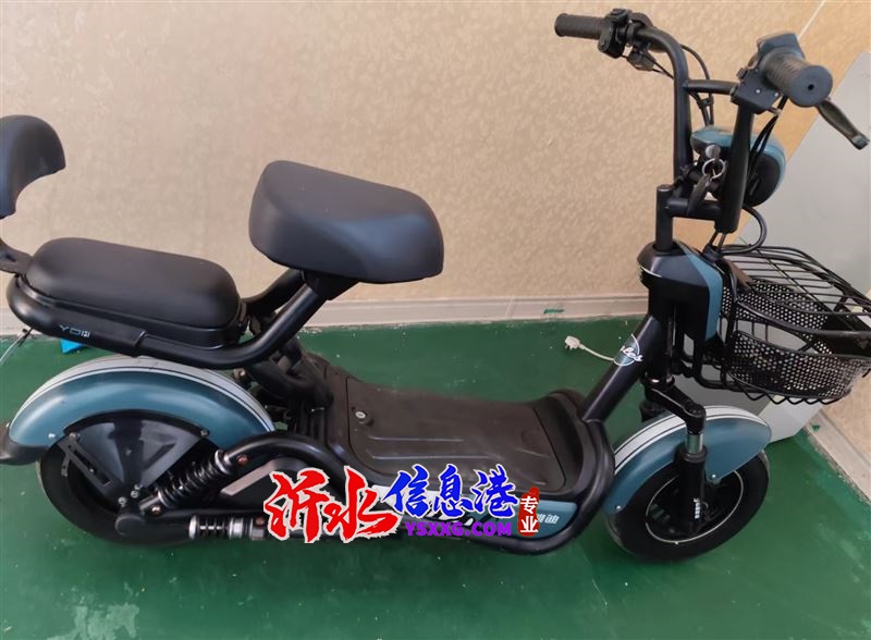 處理自用電動車